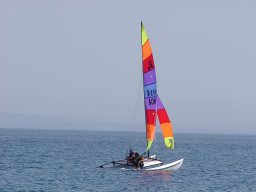 bild 235